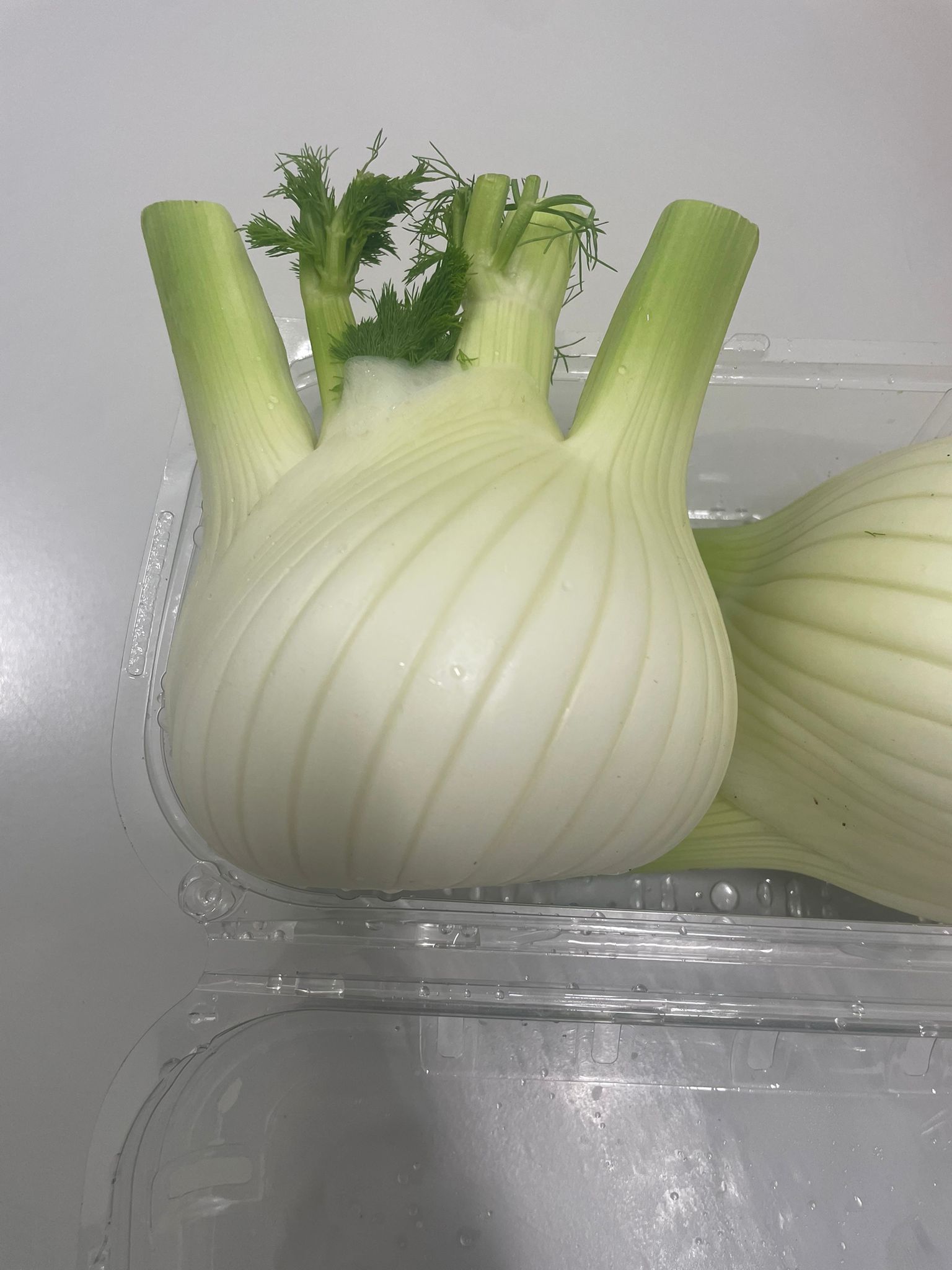Fennel