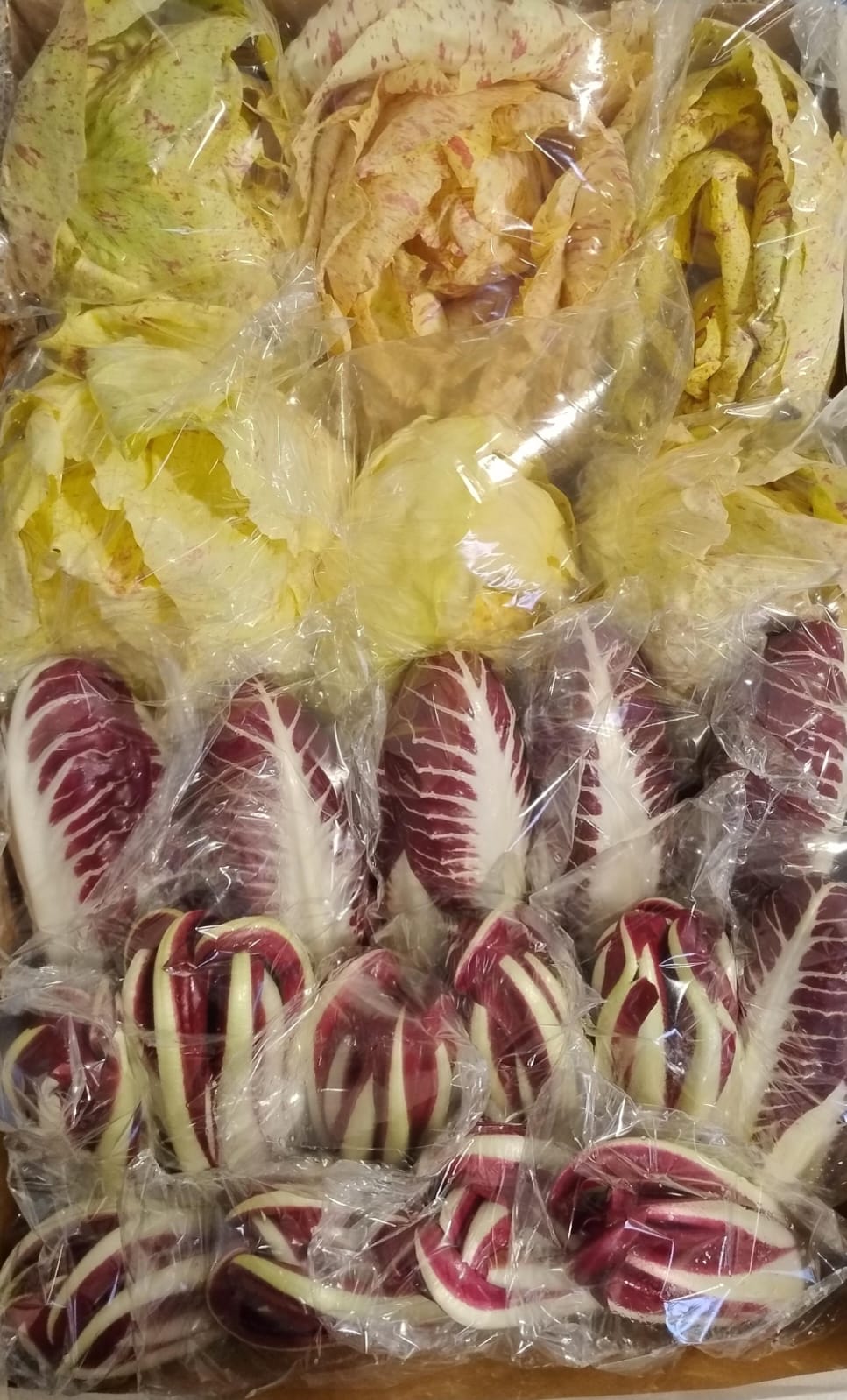 Radicchio Mix.