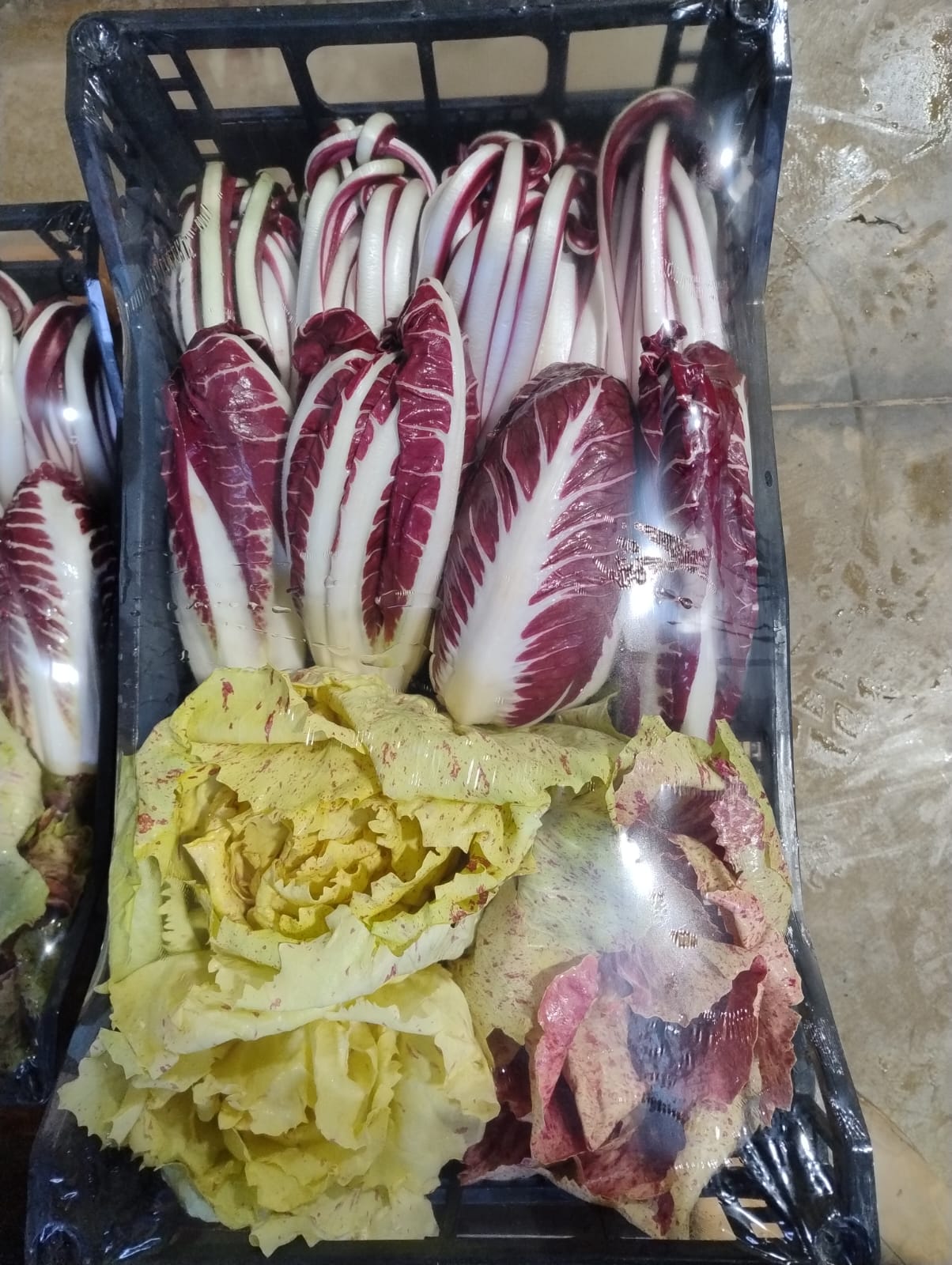 Radicchio Mix.
