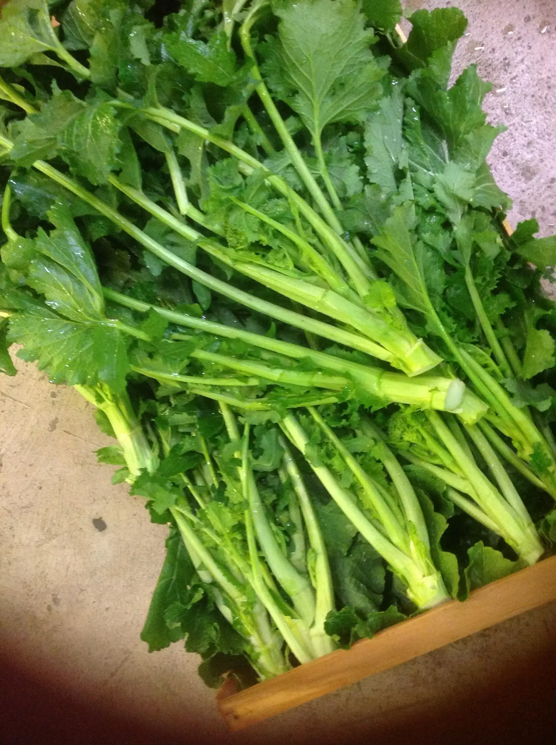 Broccoli Rabe