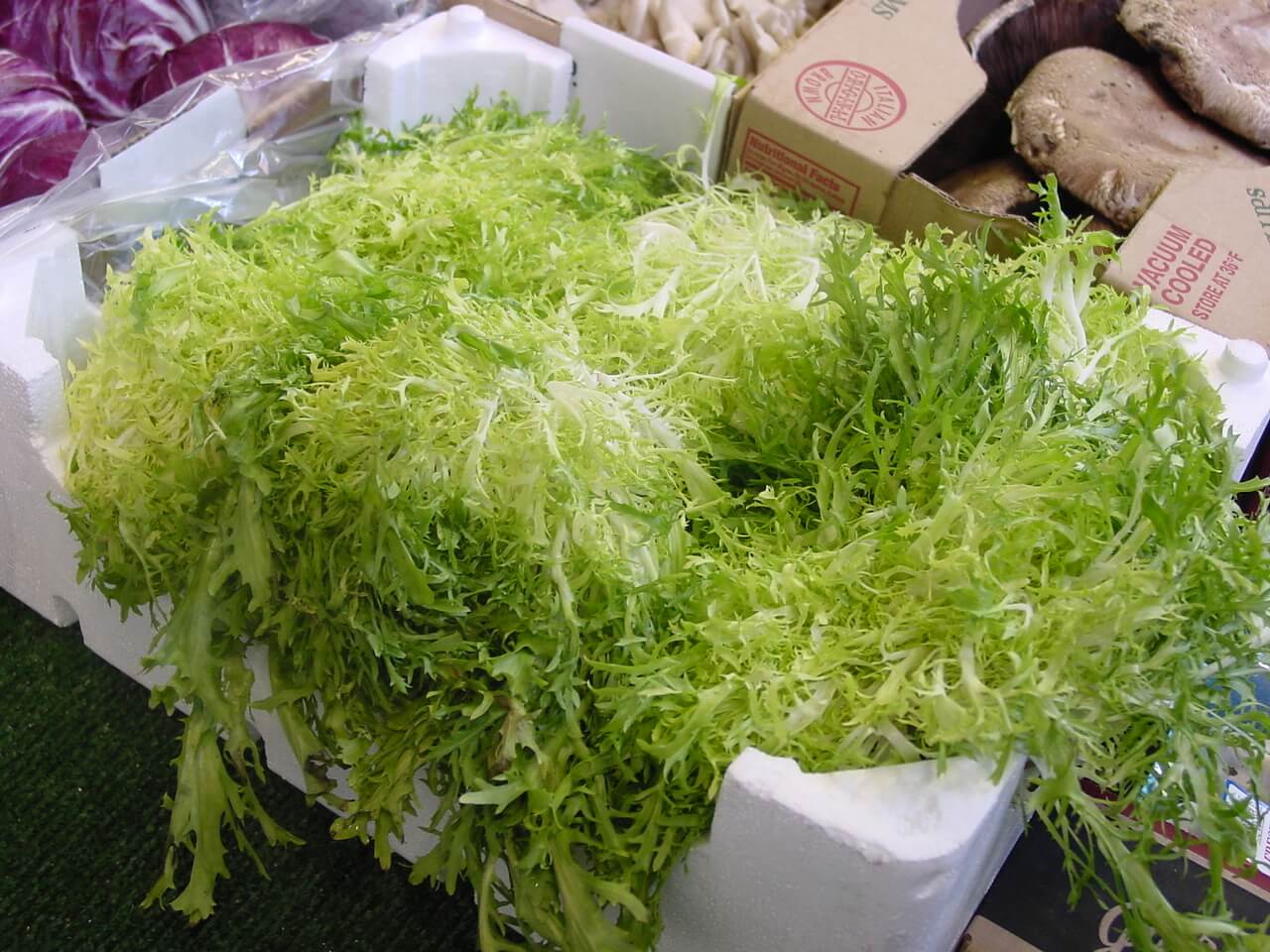 Endive Frisée