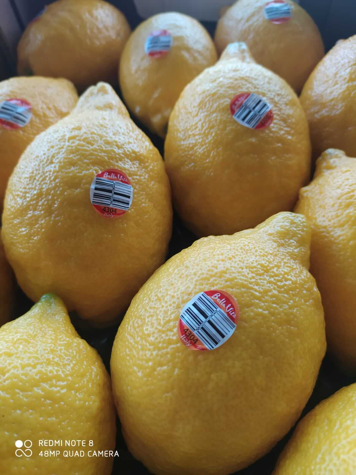  Premium Italian Lemons lemons Fruit