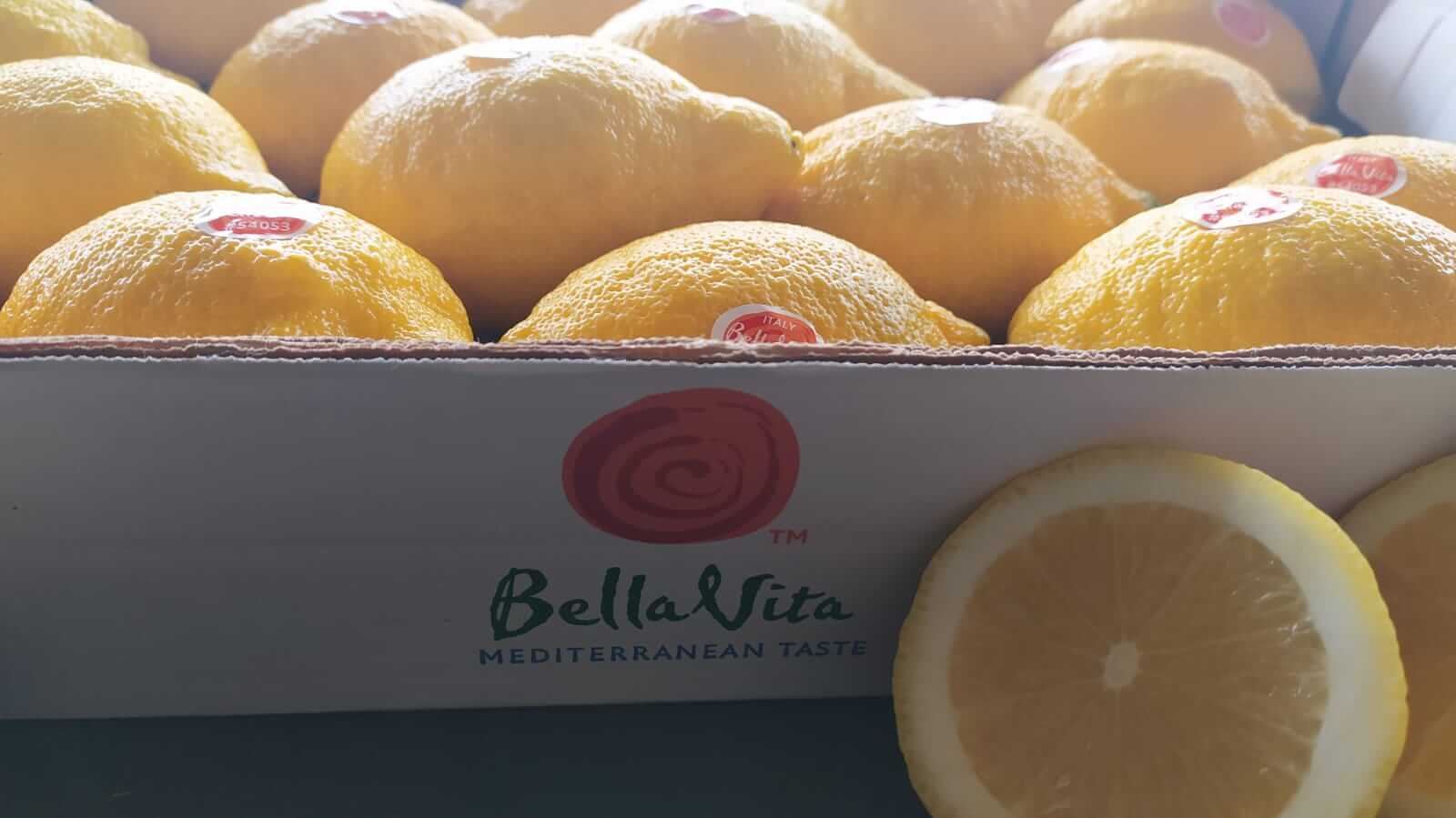 Premium Italian Lemons lemons Fruit
