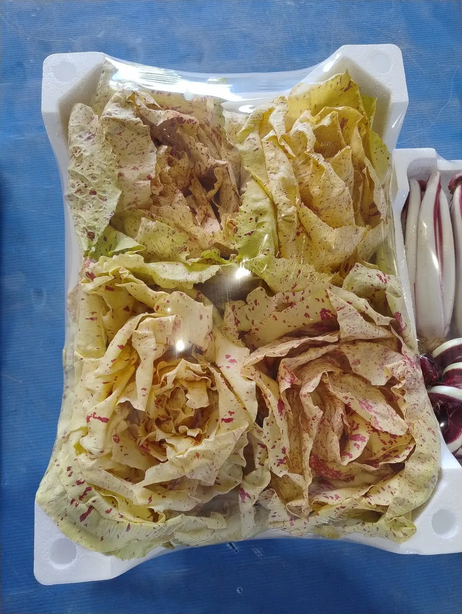 Radicchio Castelfranco