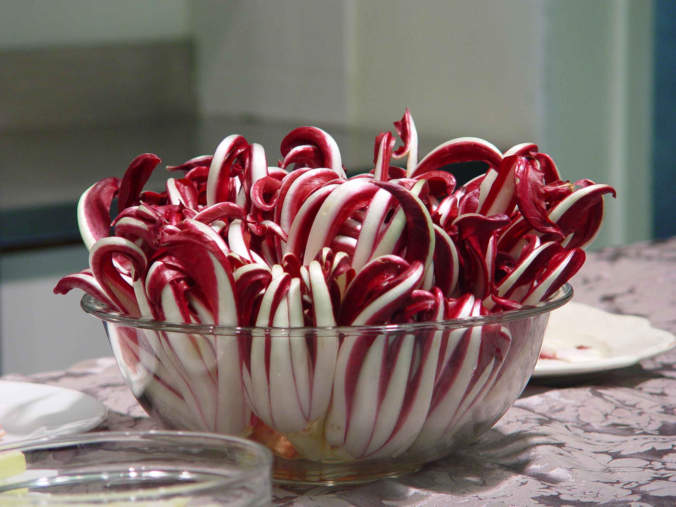 Radicchio di Treviso Tardivo