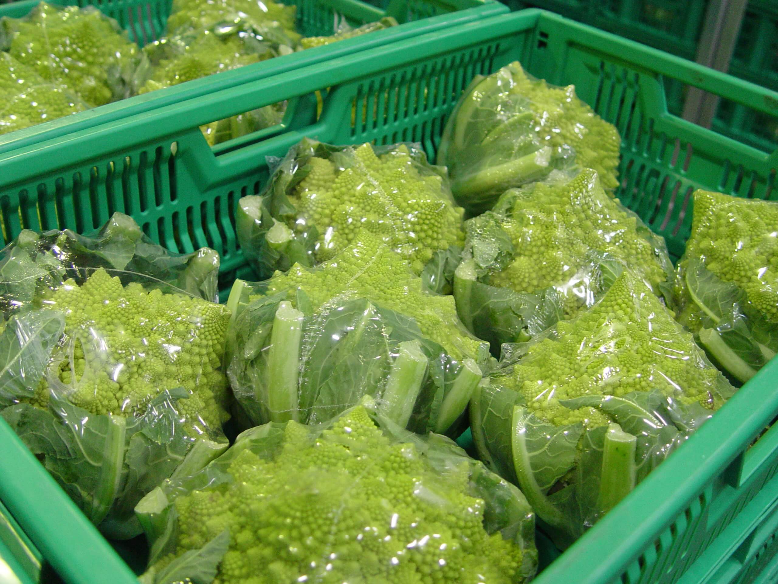 Romanesco Cauliflower