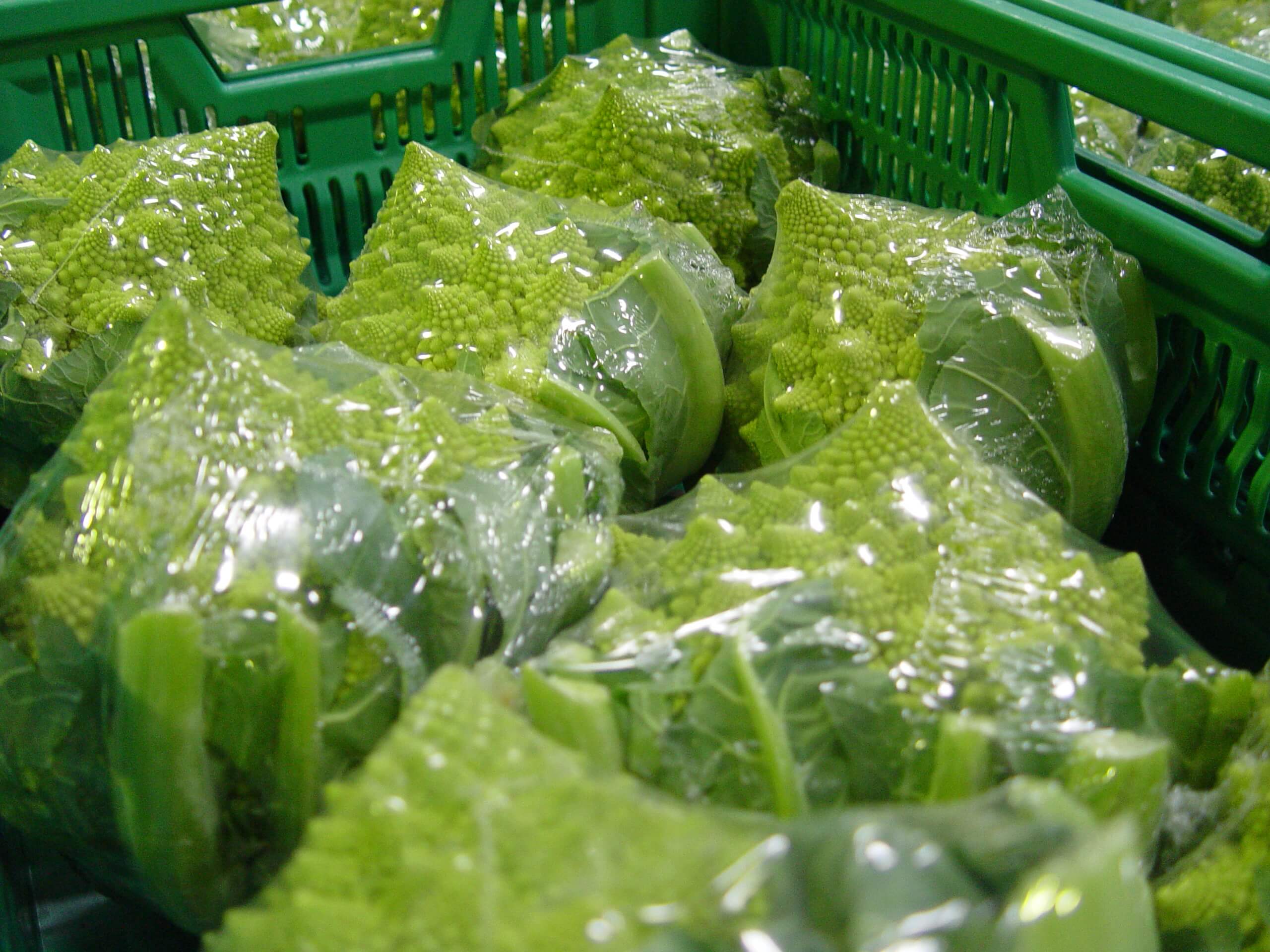 Romanesco Cauliflower