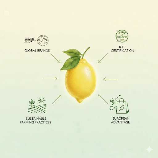 From Sicily to the World