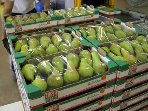 Pro-Tips-for-Your-Pear