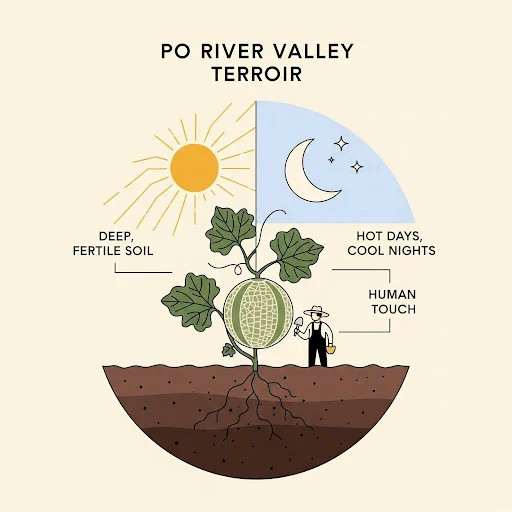 The-Ingredients-of-Terroir.