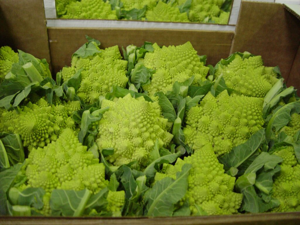 How to Cook Romanesco Cauliflower the Italian Way