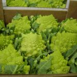 How to Cook Romanesco Cauliflower the Italian Way