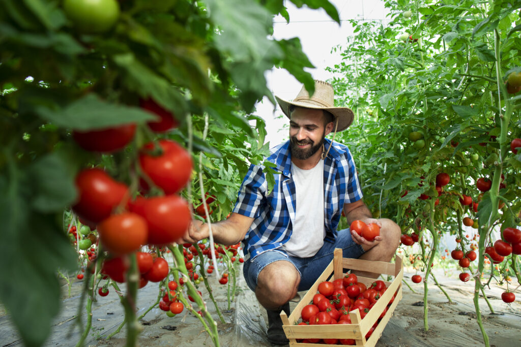 The Future of Italian Heritage Produce