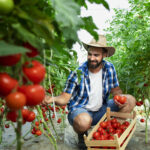 The Future of Italian Heritage Produce