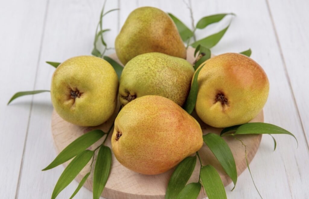 Italian Pears: 7 Amazing Health and Hydration Benefits