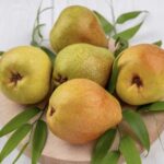 Italian Pears: 7 Amazing Health and Hydration Benefits