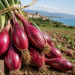 What Makes the Red Tropea Onion Truly Different