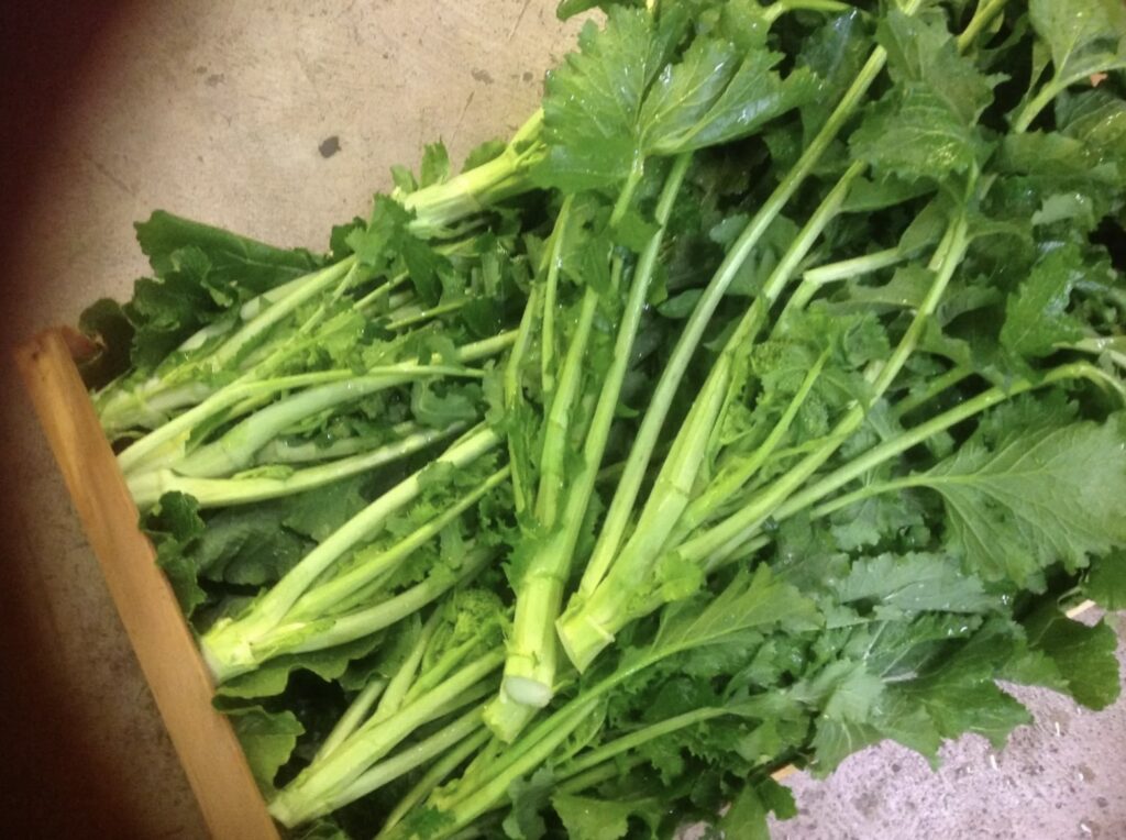 How to Cook Broccoli Rabe the Italian Way